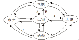 主磁极的作用