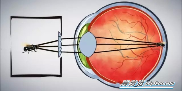 棱透镜的危害